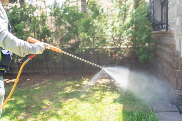 Best Flea Control Services  in Arden Hills, MN