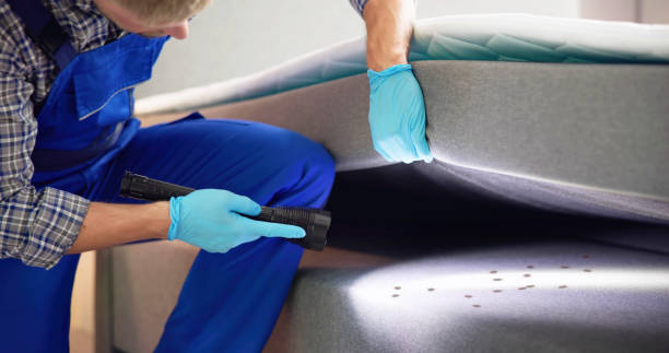 Best Mosquito Control Services  in Arden Hills, MN