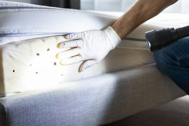 Pest Control for Restaurants in Arden Hills, MN