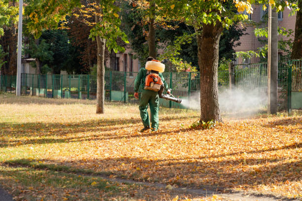 Best Termite Control Services  in Arden Hills, MN